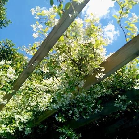 B&B La Bordeaux St Augustin 3*