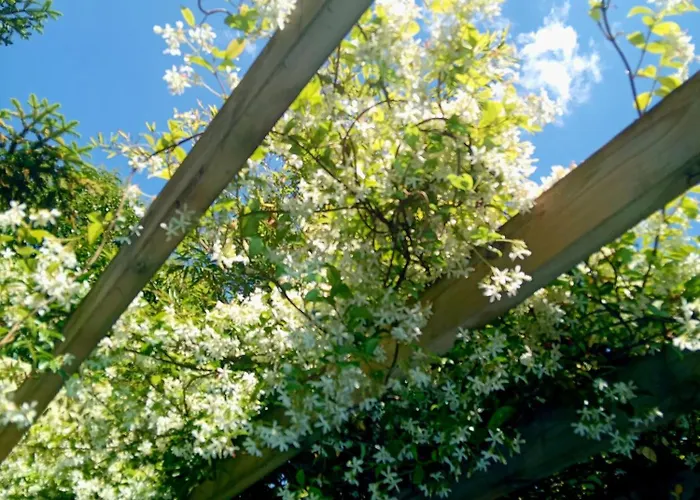 Bed & Breakfast La Bordeaux St Augustin 3*